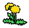 たんぽぽの絵
