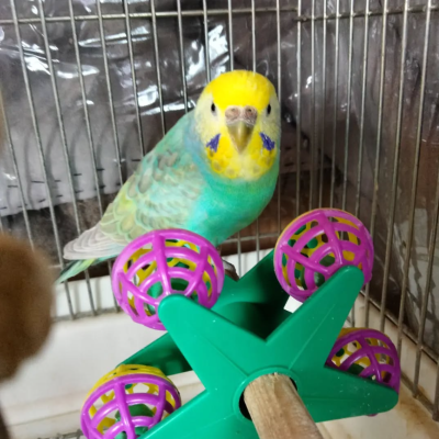 2022/03/05のジョン・スノウ