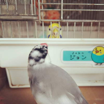 2021/07/24のジョン・スノウ