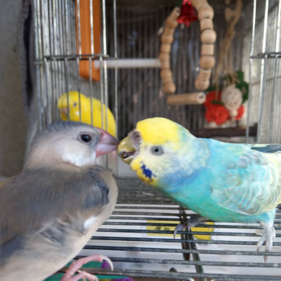 2021/12/28のジョン・スノウ