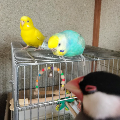 2022/09/16のジョン・スノウ