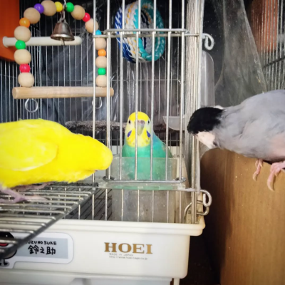 2023/02/17のジョン・スノウ