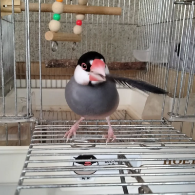 2022/06/19の鈴之助