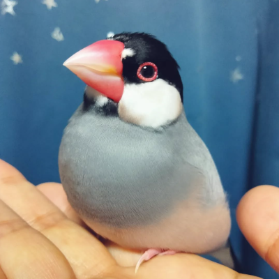 2022/10/06の鈴之助